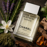 عطر ادکلن شنل اگویست پلاتینیوم مردانه خنک - Chanel Egoiste Platinum درجه 1 سوئیس (پس کرایه)