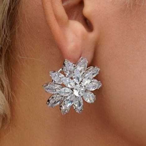 گوشواره جواهری مدل جفت حلقه ای در تنوع طرح رنگ کاملا ثابت کد bn (پس کرایه)